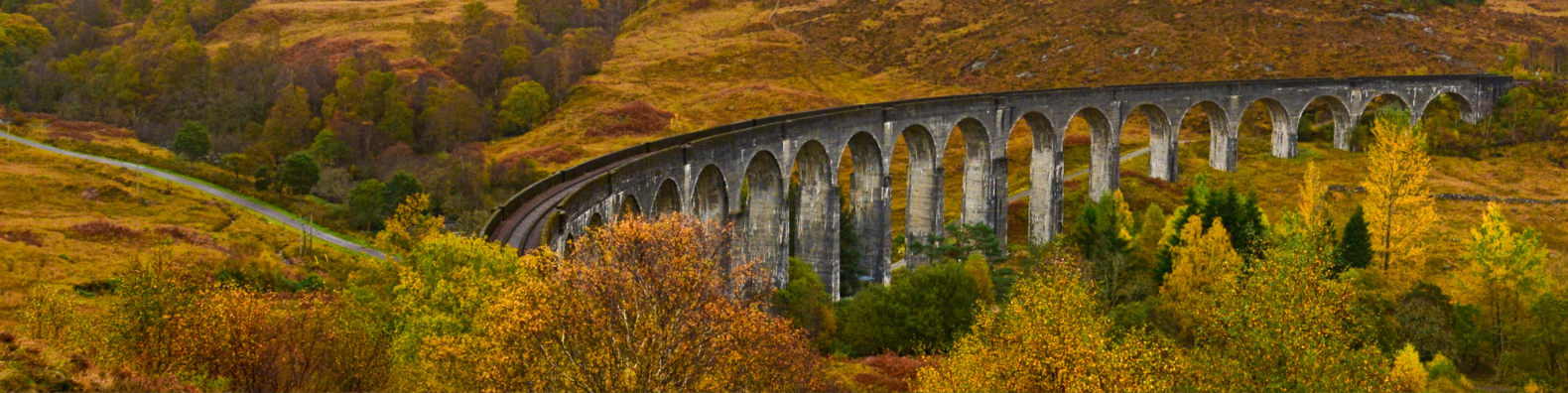 blog harry potter