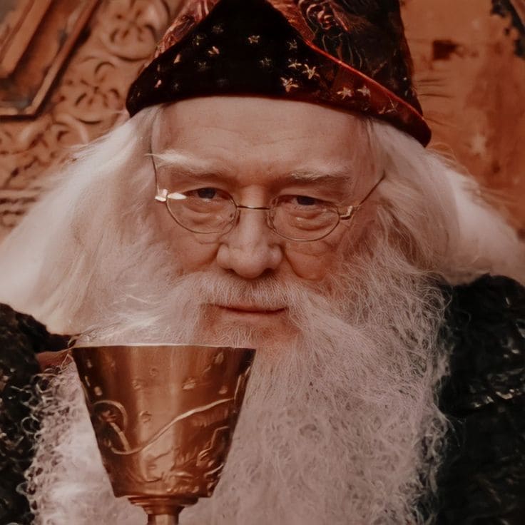 Théorie Harry Potter